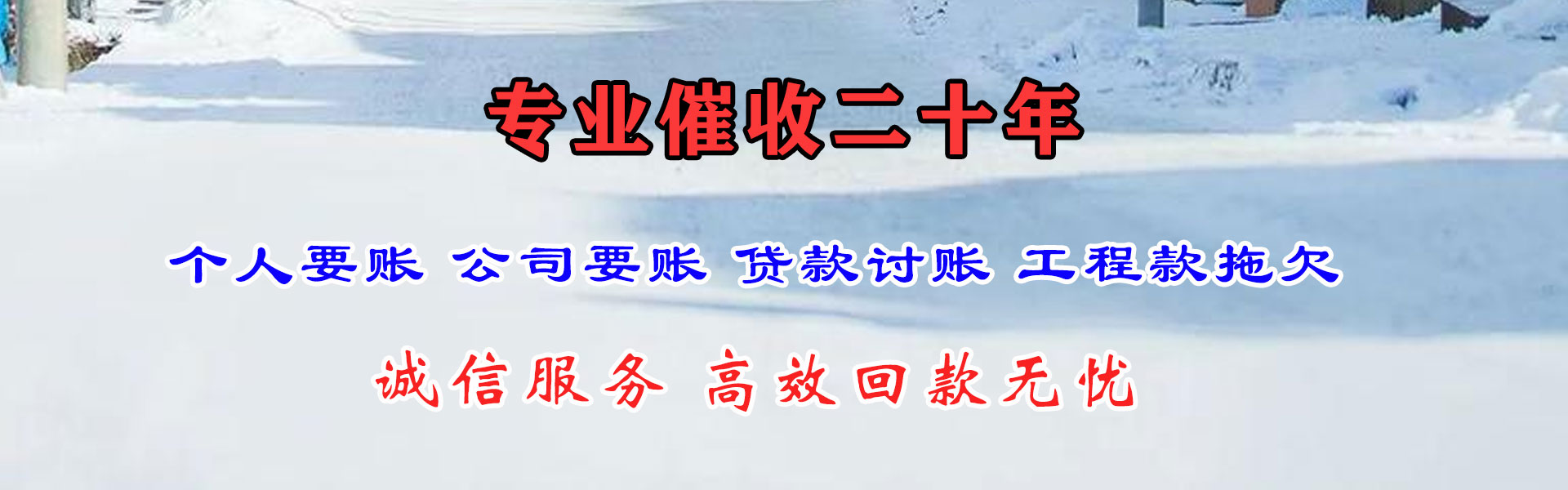 利辛追债公司